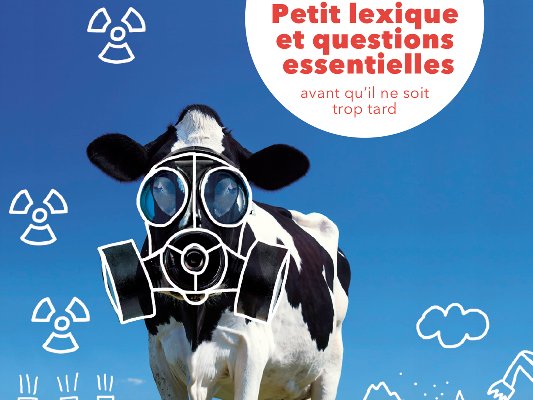 2020 - LEXIQUE ET MOTS CLE <br>pour comprendre <br> le projet Cigéo