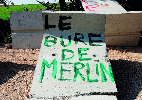 2016 - Le week-end du 12 au 15 août, remettons la forêt de Mandres en état !