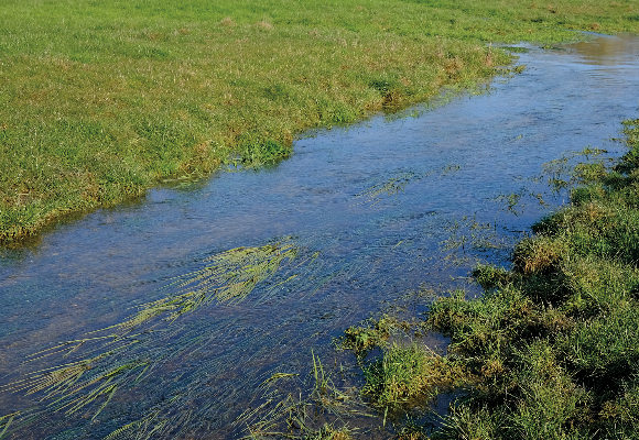 2021 - Menace sur l'eau