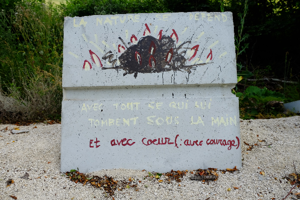 2017 - Reportage Bois Lejuc / POLITIS