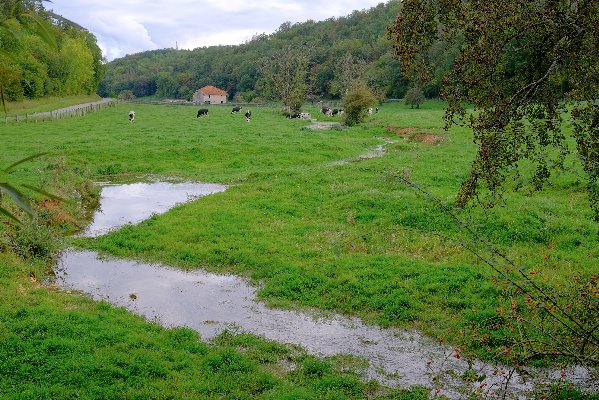 2020 - Question à l'Autorité environnementale sur la gestion des eaux sur site