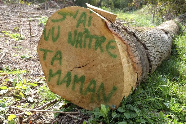 2016 - L'ANDRA ne creusera pas son trou dans la forêt de Mandres-en-Barrois !