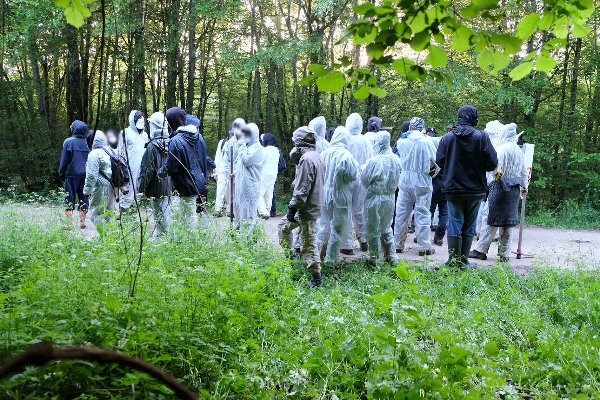 2016 - L'Andra entame des travaux forestiers illégaux